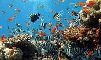 一线吃瓜娱乐圈by海底监,海底监揭秘一线明星幕后故事